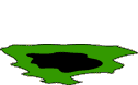 Dieren Mollen Dieren plaatjes 