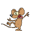Dieren Muizen Dieren plaatjes 