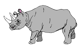 Dieren Neushoorn Dieren plaatjes 