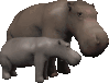 Dieren Nijlpaarden Dieren plaatjes 