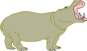 Dieren Nijlpaarden Dieren plaatjes 