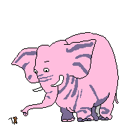 Dieren Olifanten Dieren plaatjes 