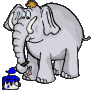 Dieren Olifanten Dieren plaatjes Olifant, Verven, Schilderen