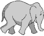Dieren Olifanten Dieren plaatjes 