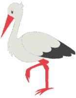 Dieren Ooievaar Dieren plaatjes 