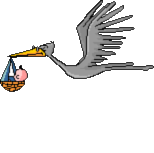 Dieren Ooievaar Dieren plaatjes 