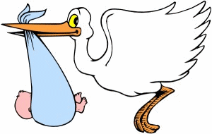 Dieren Ooievaar Dieren plaatjes 