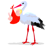 Dieren Ooievaar Dieren plaatjes 