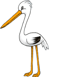 Dieren Ooievaar Dieren plaatjes 