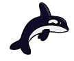 Dieren Orka Dieren plaatjes 