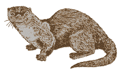 Dieren Dieren plaatjes Otter 