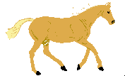 Dieren Paarden Dieren plaatjes Licht Bruin Paard In Galop Gele Staart Vier Zwarte Hoeven 