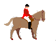 Dieren Paarden Dieren plaatjes 