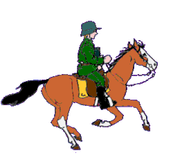 Dieren Paarden Dieren plaatjes 
