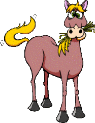 Dieren Paarden Dieren plaatjes 