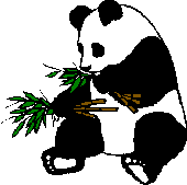 Dieren Dieren plaatjes Panda beren 