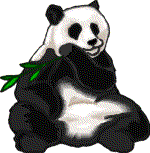 Dieren Dieren plaatjes Panda beren 