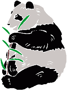 Dieren Dieren plaatjes Panda beren 