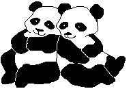 Dieren Dieren plaatjes Panda beren 