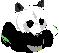 Dieren Dieren plaatjes Panda beren 