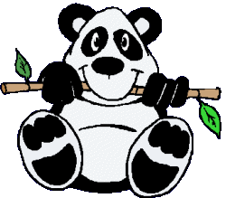 Dieren Dieren plaatjes Panda beren Pandabeer Eet Bamboe