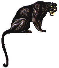Dieren Panter Dieren plaatjes 