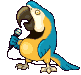 Dieren Papegaai Dieren plaatjes 