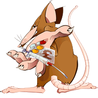 Dieren Ratten Dieren plaatjes 