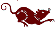 Dieren Ratten Dieren plaatjes 