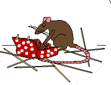 Dieren Ratten Dieren plaatjes 