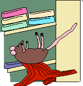 Dieren Ratten Dieren plaatjes 