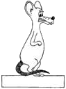 Dieren Ratten Dieren plaatjes 