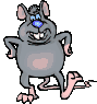 Dieren Ratten Dieren plaatjes 