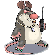 Dieren Ratten Dieren plaatjes 