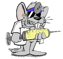 Dieren Ratten Dieren plaatjes 