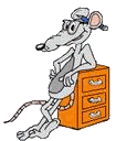 Dieren Ratten Dieren plaatjes 