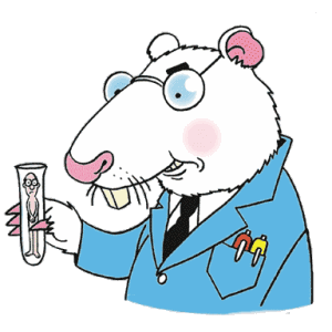Dieren Ratten Dieren plaatjes 