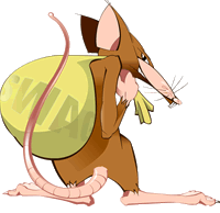 Dieren Ratten Dieren plaatjes 