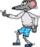 Dieren Ratten Dieren plaatjes 