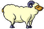 Dieren Schapen Dieren plaatjes 