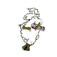 Dieren Schapen Dieren plaatjes 