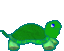 Dieren Schildpadden Dieren plaatjes 