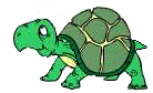 Dieren Schildpadden Dieren plaatjes 