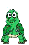Dieren Schildpadden Dieren plaatjes 