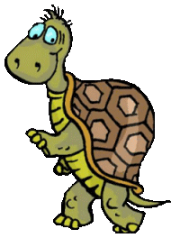Dieren Schildpadden Dieren plaatjes 
