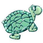 Dieren Schildpadden Dieren plaatjes 