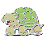 Dieren Schildpadden Dieren plaatjes 