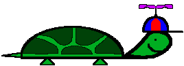 Dieren Schildpadden Dieren plaatjes 