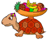 Dieren Schildpadden Dieren plaatjes 