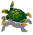Dieren Schildpadden Dieren plaatjes 